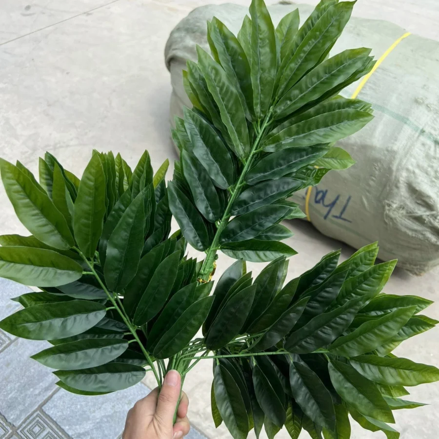 BÓ XÀ CỪ