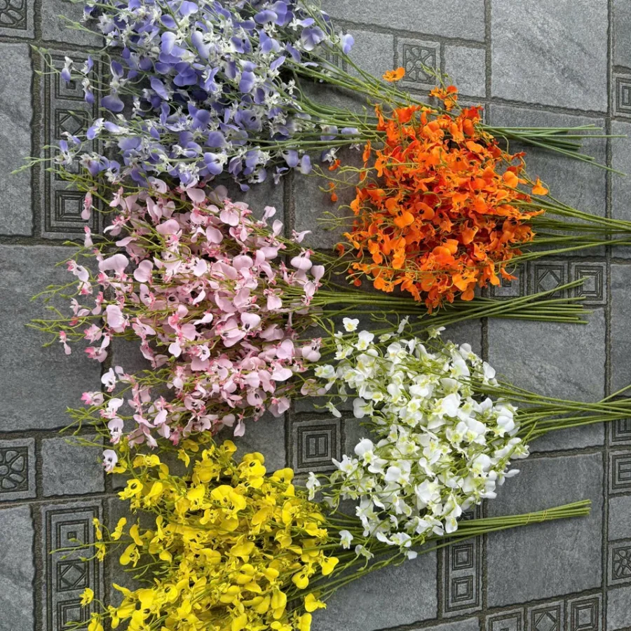 VŨ NỮ TQ