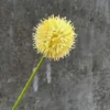 BING BOONG ĐẠI VN