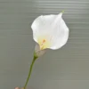 RUM XỐP