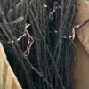 DÂY CỔ XOẮN 2M